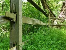 wooden fence in summer