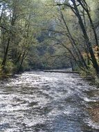 Salmon river in Oregon