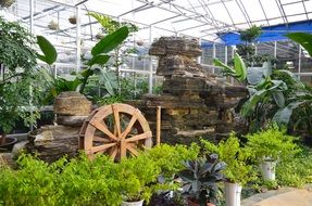 interior of greenhouse with artificial rock among plants