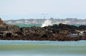 rocky coast of Robben Island