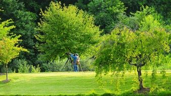 landscape of green extraordinary beauty park