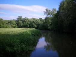 photo of a river along a green forest in Oxford, England