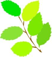 image of tree leaves in computer graphics