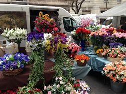 beautiful flowers in a flower shop in Italy