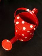 red watering can in white peas