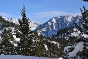 landscape in the mountains