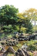 wild stones at small pond in garden landscape