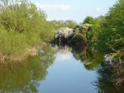 river cherwell in Oxford