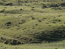 panorama of a desert meadow on a sunny day