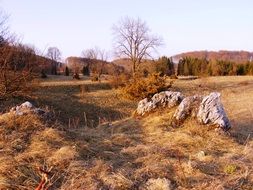 stones in a field near the autumn forest