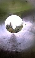 forest view through a pipe