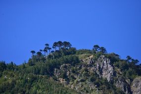 mountain sky blue Green trees view