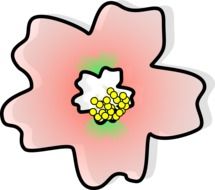 graphic image of a pink japanese flower