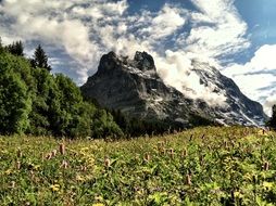 peaks of alpine mountains in the clouds