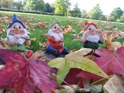 gnomes in autumn leaves