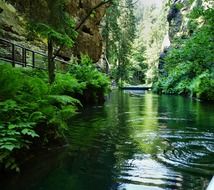 channel through forested mountains, germany, hinterhermsdorf