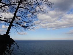 cove beach landscape