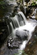 photo of a cascade of a waterfall in the wildlife