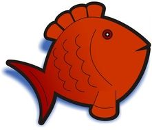 Orange fish clipart