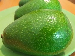 green avocados food tropical healthy