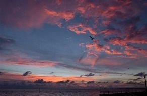pink clouds over the ocean in Florida