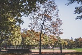 extraordinarily beautiful park