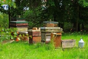 Wooden beehives on a farm