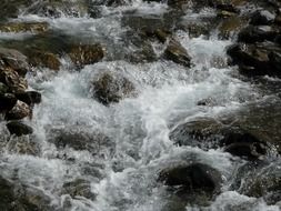 Natural White water stream