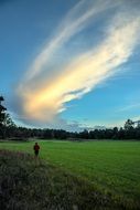 Man walking alone green field sky view