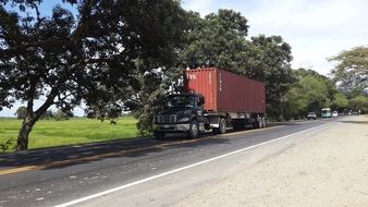 A truck is standing on the side of the road near green trees