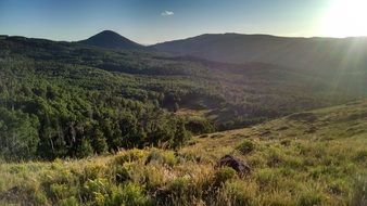 brian head peak among forested mountains, usa, utah