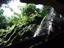 ice cave in a forest