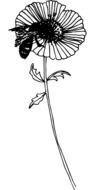 illustration of the flower