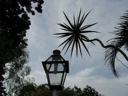 Lantern in a garden