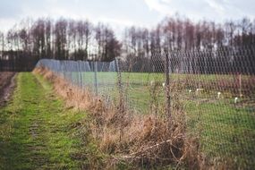 overgrown metal fence in countryside