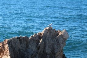 Mallorca in the summer