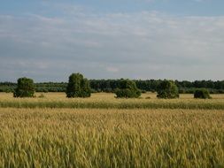 Landscape near the village