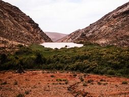 fuerteventura landscape green