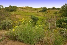 Nature Reserve Of Brecca