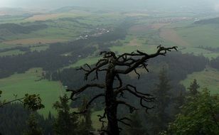 Landscape of countryside in slovakia