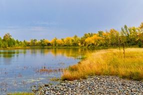nature landscape of autumn