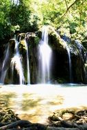 scenic waterfall in forest at summer