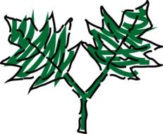 children`s drawing of green leaves on a white background