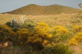 picturesque hills in the national park of Cabo de Gata