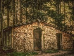 log house with wood in the forest
