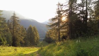 panorama of the austrian valley in the sunlight