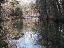 creek brook stream river