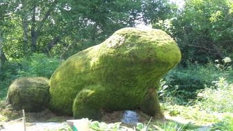 figure of a huge toad in the garden