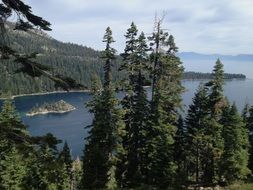 view through the trees on the emerald bay of Lake Tahoe