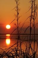 Photo of the sunset over the water